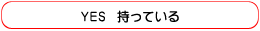 YES�@�����Ă���